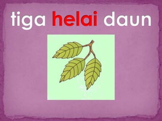 Slide penjodoh bilangan