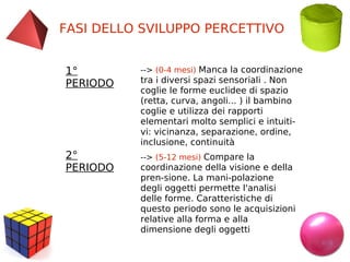 FASI DELLO SVILUPPO PERCETTIVO
1°
PERIODO

--> (0-4 mesi) Manca la coordinazione

2°
PERIODO

--> (5-12 mesi) Compare la

tra i diversi spazi sensoriali . Non
coglie le forme euclidee di spazio
(retta, curva, angoli... ) il bambino
coglie e utilizza dei rapporti
elementari molto semplici e intuiti­
vi: vicinanza, separazione, ordine,
inclusione, continuità
coordinazione della visione e della
pren­sione. La mani­polazione
degli oggetti permette l'analisi
delle forme. Caratteristiche di
questo periodo sono le acquisizioni
relative alla forma e alla
dimensione degli oggetti

 