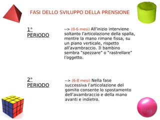 FASI DELLO SVILUPPO DELLA PRENSIONE
1°
PERIODO

--> (0-6 mesi) All’inizio interviene

2°
PERIODO

--> (6-8 mesi) Nella fase

soltanto l’articolazione della spalla,
mentre la mano rimane fissa, su
un piano verticale, rispetto
all’avambraccio. Il bambino
sembra “spezzare” o “rastrellare”
l’oggetto.

successiva l’articolazione del
gomito consente lo spostamento
dell’avambraccio e della mano
avanti e indietro.

 