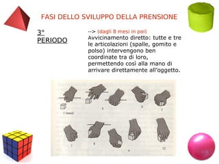 FASI DELLO SVILUPPO DELLA PRENSIONE
3°
PERIODO

--> (dagli 8 mesi in poi)
Avvicinamento diretto: tutte e tre

le articolazioni (spalle, gomito e
polso) intervengono ben
coordinate tra di loro,
permettendo così alla mano di
arrivare direttamente all’oggetto.

 