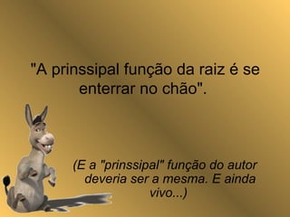 "A prinssipal função da raiz é se
enterrar no chão".
(E a "prinssipal" função do autor
deveria ser a mesma. E ainda
vivo...)
 