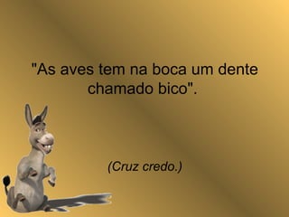 "As aves tem na boca um dente
chamado bico".
(Cruz credo.)
 