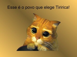 Esse é o povo que elege Tiririca!
 