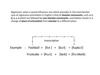 Regressive: when a sound influences one which precedes it; the most familiar
case of regressive assimilation in English is that of alveolar consonants, such as t,
d, s, z, n which are followed by non-alveolar consonants: assimilation results in a
change of place of articulation from alveolar to a different place
Example : Football > [fυt ] [bɔ:l] = [fυpbɔ:l]+
transcription
Fruitcake > [fru:t] + [keɪk] = [frυ:kkeik]
 