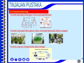 •Untuk pengembangan ilmu pengetahuan
•Untuk mengembangkan dan memperbanyak bibit unggul
•Untuk tujuan diagnostik dan terapi



χ
2.4 Manfaat Kloning
 