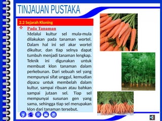 Pada Tanaman
Melalui kultur sel mula-mula
dilakukan pada tanaman wortel.
Dalam hal ini sel akar wortel
dikultur, dan tiap selnya dapat
tumbuh menjadi tanaman lengkap.
Teknik ini digunakan untuk
membuat klon tanaman dalam
perkebunan. Dari sebuah sel yang
mempunyai sifat unggul, kemudian
dipacu untuk membelah dalam
kultur, sampai ribuan atau bahkan
sampai jutaan sel. Tiap sel
mempunyai susunan gen yang
sama, sehingga tiap sel merupakan
klon dari tanaman tersebut.



χ
2.2 Sejarah Kloning
 