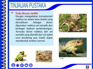  Pada Hewan Amfibi
Dengan mengadakan transplantasi
nukleus ke dalam telur kodok yang
dienukleasi. Sebagai donor
digunakan nukleus sel somatik dari
berbagai stadium perkembangan.
Ternyata donor nukleus dari sel
somatik yang diambil dari sel epitel
usus kecebong pun masih dapat
membentuk embrio normal.



χ
 