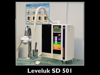Leveluk SD 501
 