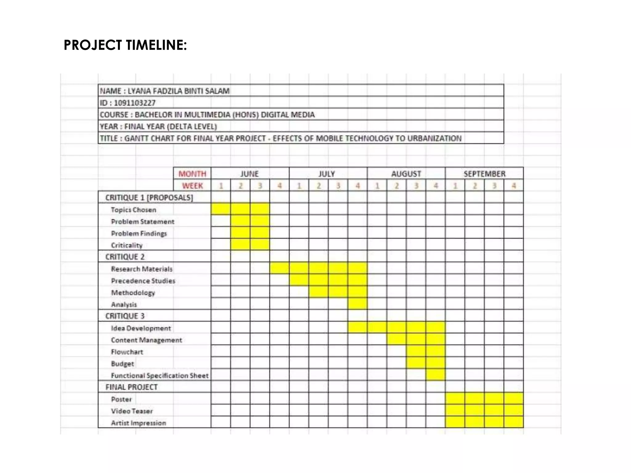 PROJECT TIMELINE:
 