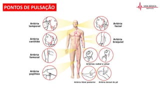 PONTOS DE PULSAÇÃO
 