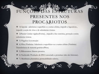 FUNÇÕES DAS ESTRUTURAS
PRESENTES NOS
PROCARIOTOS
 1)Cápsula: aderência à superfície e a outras células, impedir a fagocitose.,
impedir a acção de vírus e de substâncias tóxicas.
 2)Parede Celular: rigidez(Forma) , impedir a lise osmótica, proteção contra
substâncias tóxicas.
 3) Flagelos: Locomoção
 4) Pilos/Fimbrías: Aderência a superfícies ou a outras células (Fimbrías)
Transferência de material genético(Pilos).
 5) Ribossomos: Síntese proteica.
 6) Nucleoide: Produção de DNA associado a proteínas (não são histonas).
 7) Membrana plasmática: permeabilidade seletiva.
 