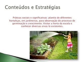 Práticas sociais e significativas: plantio de diferentes hortaliças, em jardineiras, para observação do processo de germinação e crescimento. Visitar a horta da escola e conhecer diversas ervas lá existentes.Conteúdos e Estratégias