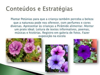 Plantar Petúnias para que a criança também perceba a beleza que a natureza pode nos oferecer, com perfumes e cores diversas. Apresentar às crianças a Pirâmide alimentar. Montar um prato ideal. Leitura de textos informativos, poemas, músicas e histórias. Registro em galeria de fotos. Fazer exposição na escolaConteúdos e Estratégias