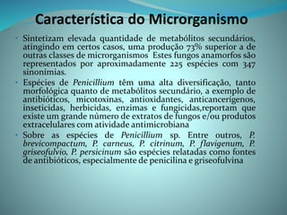 Característica do Microrganismo
• Sintetizam elevada quantidade de metabólitos secundários,
atingindo em certos casos, uma produção 73% superior a de
outras classes de microrganismos Estes fungos anamorfos são
representados por aproximadamente 225 espécies com 347
sinonímias.
• Espécies de Penicillium têm uma alta diversificação, tanto
morfológica quanto de metabólitos secundário, a exemplo de
antibióticos, micotoxinas, antioxidantes, anticancerígenos,
inseticidas, herbicidas, enzimas e fungicidas,reportam que
existe um grande número de extratos de fungos e/ou produtos
extracelulares com atividade antimicrobiana
• Sobre as espécies de Penicillium sp. Entre outros, P.
brevicompactum, P. carneus, P. citrinum, P. flavigenum, P.
griseofulvio, P. persicinum são espécies relatadas como fontes
de antibióticos, especialmente de penicilina e griseofulvina
 