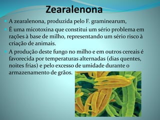 Zearalenona
 A zearalenona, produzida pelo F. graminearum,
 É uma micotoxina que constitui um sério problema em
rações à base de milho, representando um sério risco à
criação de animais.
 A produção deste fungo no milho e em outros cereais é
favorecida por temperaturas alternadas (dias quentes,
noites frias) e pelo excesso de umidade durante o
armazenamento de grãos.
 