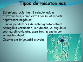 • Esterigmatocistina: é relacionada à
aflatoxiana e, como estas possui atividade
hepatocarcinogênica.
• Fungos produtores de esterigmatocistina:
Aspegillus versicolor, A.nidulans, A. rugulous;
sob luz ultravioleta, essa toxina emite cor
vermelho -tijolo
• Ocorre em trigo,café e aveia.
 