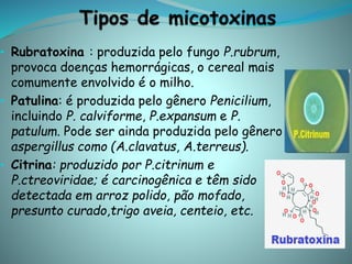 • Rubratoxina : produzida pelo fungo P.rubrum,
provoca doenças hemorrágicas, o cereal mais
comumente envolvido é o milho.
• Patulina: é produzida pelo gênero Penicilium,
incluindo P. calviforme, P.expansum e P.
patulum. Pode ser ainda produzida pelo gênero
aspergillus como (A.clavatus, A.terreus).
• Citrina: produzido por P.citrinum e
P.ctreoviridae; é carcinogênica e têm sido
detectada em arroz polido, pão mofado,
presunto curado,trigo aveia, centeio, etc.
 