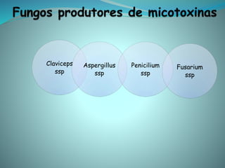 Claviceps
ssp
Aspergillus
ssp
Penicilium
ssp
Fusarium
ssp
 