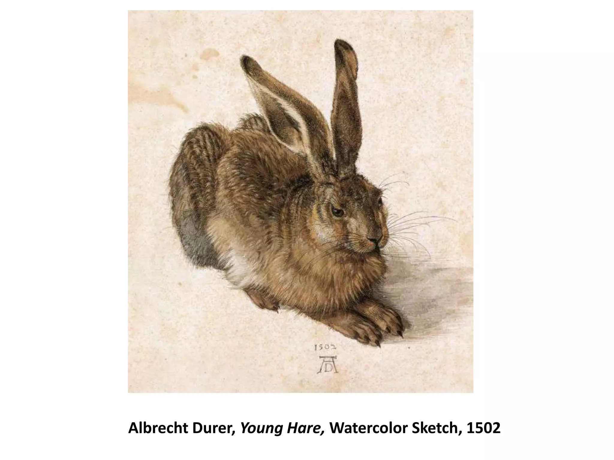 Albrecht Durer, Young Hare, Watercolor Sketch, 1502