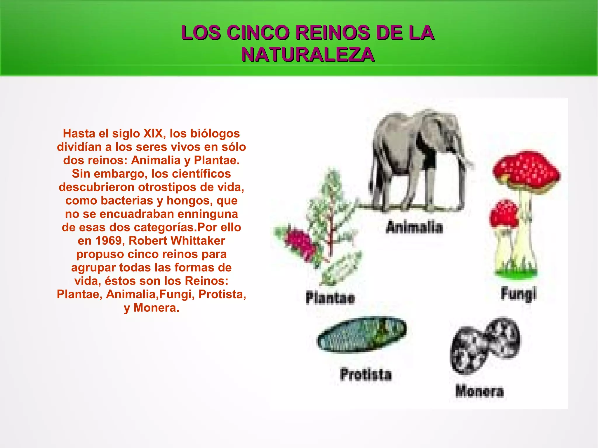 LOS CINCO REINOS DE LA NATURALEZA | PPT