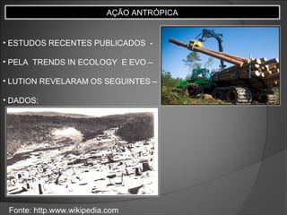 AÇÃO ANTRÓPICA

• ESTUDOS RECENTES PUBLICADOS • PELA TRENDS IN ECOLOGY E EVO –
• LUTION REVELARAM OS SEGUINTES –
• DADOS:

Fonte: http.www.wikipedia.com

 