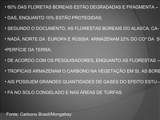• 60% DAS FLORETAS BOREAIS ESTÃO DEGRADADAS E FRAGMENTA –
• DAS, ENQUANTO 10% ESTÃO PROTEGIDAS;
• SEGUNDO O DOCUMENTO, AS FLORESTAS BOREAIS DO ALASCA, CA-

• NADÁ, NORTE DA EUROPA E RÚSSIA ARMAZENAM 22% DO CO² DA SU
•PERFÍCIE DA TERRA;

• DE ACORDO COM OS PESQUISADORES, ENQUANTO AS FLORESTAS --

• TROPICAIS ARMAZENAM O CARBONO NA VEGETAÇÃO EM SI, AS BORE
• AIS POSSUEM GRANDES QUANTIDADES DE GASES DO EFEITO ESTU-• FA NO SOLO CONGELADO E NAS ÁREAS DE TURFAS.

Fonte: Carbono Brasil/Mongabay

 