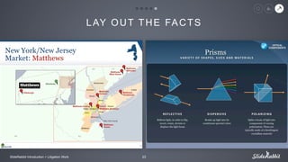 LAY OUT THE FACTS
ݺߣRabbit Introduction > Litigation Work 23
 