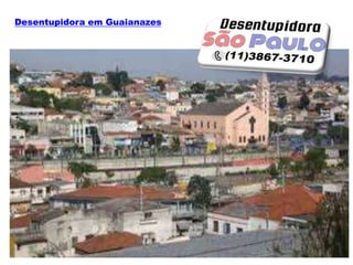 Desentupidora em Guaianazes
 