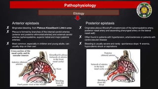 Pathophysiology
Anterior epistaxis
✘ Originates bleeding from Pleksus Kiesellbach/ Little’s area
✘ Plexus is formed by branches of the internal carotid arteries
(anterior and posterior ethmoidal arteries) and external carotid
arteries (sphenopalatine, superior labial and major palatine
arteries)
✘ Most common, especially in children and young adults. can
usually stop on their own
Posterior epistaxis
✘ Originates plexus Woodruff's anastomosis of the sphenopalatine artery,
posterior nasal artery and ascending pharyngeal artery on the lateral
nasal wall)
✘ Often found in patients with hypertension, arteriosclerosis or patients with
cardiovascular disease
✘ Bleeding is usually severe and rarely spontaneus stops  anemia,
hypovolemic shock or aspirations
Etiology
 