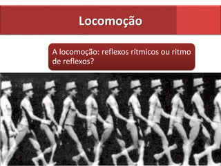 Locomoção
A locomoção: reflexos rítmicos ou ritmo
de reflexos?
 