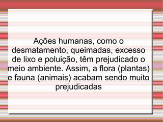 Ações humanas, como o
desmatamento, queimadas, excesso
de lixo e poluição, têm prejudicado o
meio ambiente. Assim, a flora...