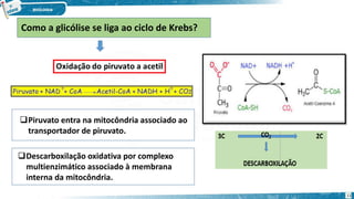 Como a glicólise se liga ao ciclo de Krebs?
Piruvato entra na mitocôndria associado ao
transportador de piruvato.
Descarboxilação oxidativa por complexo
multienzimático associado à membrana
interna da mitocôndria.
11
 