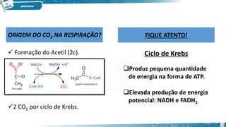  Formação do Acetil (2c).
2 CO2 por ciclo de Krebs.
ORIGEM DO CO2 NA RESPIRAÇÃO? FIQUE ATENTO!
Ciclo de Krebs
Produz pequena quantidade
de energia na forma de ATP.
Elevada produção de energia
potencial: NADH e FADH2.
13
 