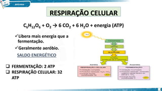 RESPIRAÇÃO CELULAR
Libera mais energia que a
fermentação.
Geralmente aeróbio.
SALDO ENERGÉTICO
 FERMENTAÇÃO: 2 ATP
 RESPIRAÇÃO CELULAR: 32
ATP
C6H12O6 + O2 → 6 CO2 + 6 H2O + energia (ATP)
3
 