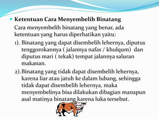  Ketentuan Cara Menyembelih Binatang
Cara menyembelih binatang yang benar, ada
ketentuan yang harus diperhatikan yaitu:
1). Binatang yang dapat disembelih lehernya, diputus
tenggorokannya ( jalannya nafas / khulqum) dan
diputus mari ( tekak) tempat jalannya saluran
makanan.
2).Binatang yang tidak dapat disembelih lehernya,
karena liar atau jatuh ke dalam lubang, sehingga
tidak dapat disembelih lehernya, maka
menyembelinya bisa dilakukan dibagian manapun
asal matinya binatang karena luka tersebut.
 