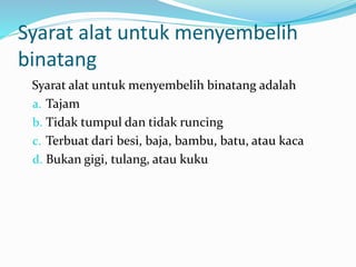 Syarat alat untuk menyembelih
binatang
Syarat alat untuk menyembelih binatang adalah
a. Tajam
b. Tidak tumpul dan tidak runcing
c. Terbuat dari besi, baja, bambu, batu, atau kaca
d. Bukan gigi, tulang, atau kuku
 
