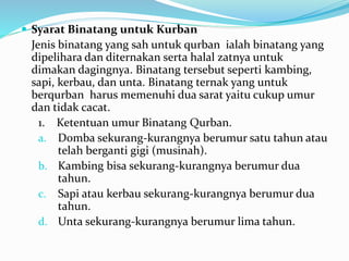  Syarat Binatang untuk Kurban
Jenis binatang yang sah untuk qurban ialah binatang yang
dipelihara dan diternakan serta halal zatnya untuk
dimakan dagingnya. Binatang tersebut seperti kambing,
sapi, kerbau, dan unta. Binatang ternak yang untuk
berqurban harus memenuhi dua sarat yaitu cukup umur
dan tidak cacat.
1. Ketentuan umur Binatang Qurban.
a. Domba sekurang-kurangnya berumur satu tahun atau
telah berganti gigi (musinah).
b. Kambing bisa sekurang-kurangnya berumur dua
tahun.
c. Sapi atau kerbau sekurang-kurangnya berumur dua
tahun.
d. Unta sekurang-kurangnya berumur lima tahun.
 