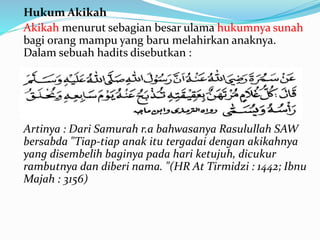 Hukum Akikah
Akikah menurut sebagian besar ulama hukumnya sunah
bagi orang mampu yang baru melahirkan anaknya.
Dalam sebuah hadits disebutkan :
Artinya : Dari Samurah r.a bahwasanya Rasulullah SAW
bersabda "Tiap-tiap anak itu tergadai dengan akikahnya
yang disembelih baginya pada hari ketujuh, dicukur
rambutnya dan diberi nama. "(HR At Tirmidzi : 1442; Ibnu
Majah : 3156)
 
