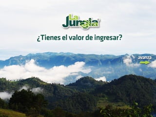 La Jungla
