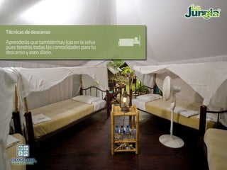 La Jungla