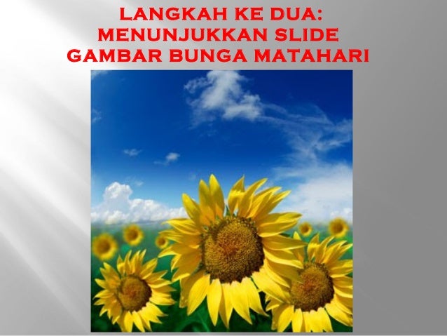 Slide rph catan & parang