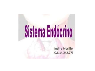 Sistema Endocrino (Indira Morillo)
