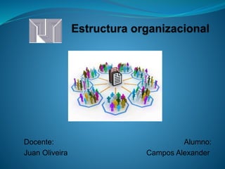 Estructura organizacional