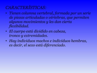 CARACTERÍSTICAS: Tienen columna vertebral ,  formada por un serie de piezas articuladas o vértebras, que permiten algunos movimientos y les dan cierta flexibilidad. El cuerpo está dividido en cabeza, tronco y extremidades. Hay individuos machos e individuos hembras, es decir, el sexo está diferenciado. 