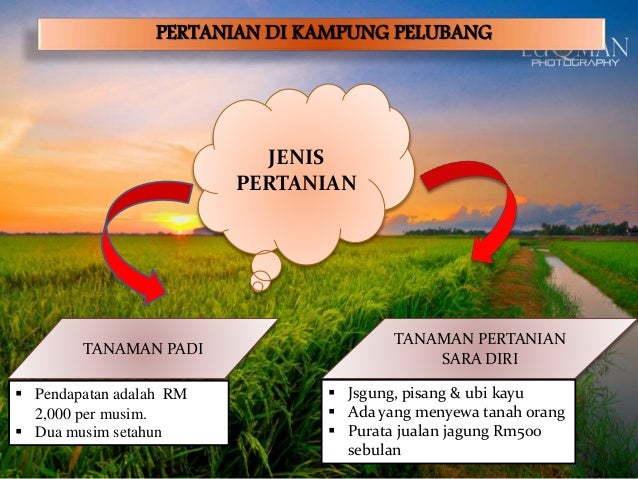 Analisis Isu Luar Bandar Kg Pelubang Jitra