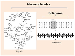 Polímeros
Macromoléculas
Lignina
Polietileno
 