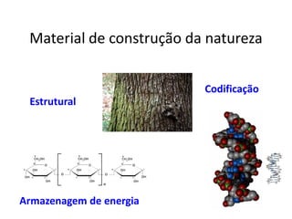 Material de construção da natureza
Estrutural
Armazenagem de energia
Codificação
 