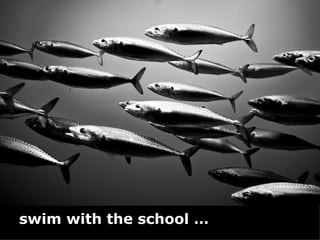 swim with the school … 