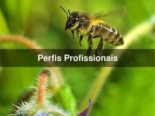 Perfis Profissionais




              
 