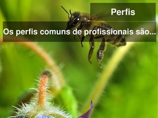 Perfis

Os perfis comuns de profissionais são...




                    
 